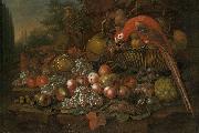 Francis Sartorius Still life with fruits and a parrot Sweden oil painting artist